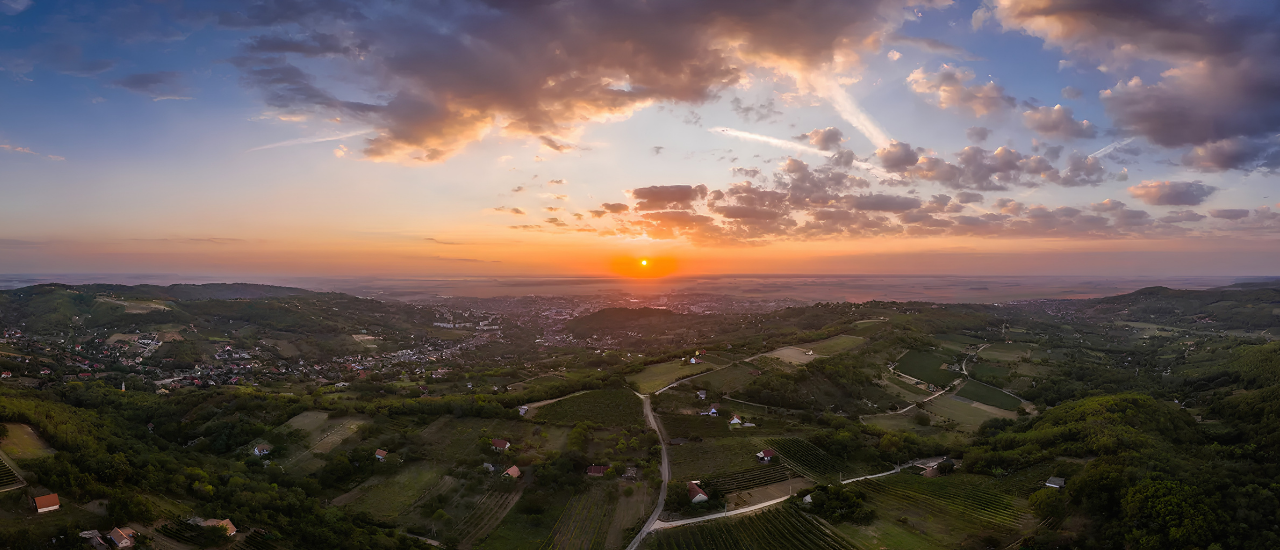 Szekszárdi borvidék