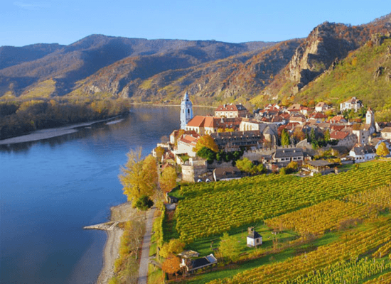 Wachau szőlőültetvény a tó közelében Wachau szőlőültetvény a tó közelében